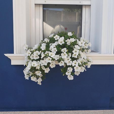 הוילה מונפורט דה למוס Casa Jardin מראה חיצוני תמונה